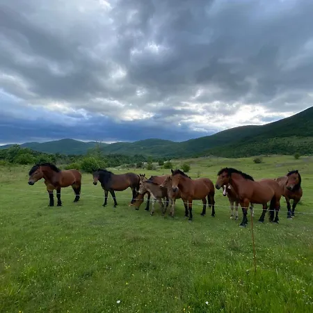 Mona 度假居 Gračac