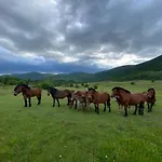 Mona Hébergement de vacances Gračac