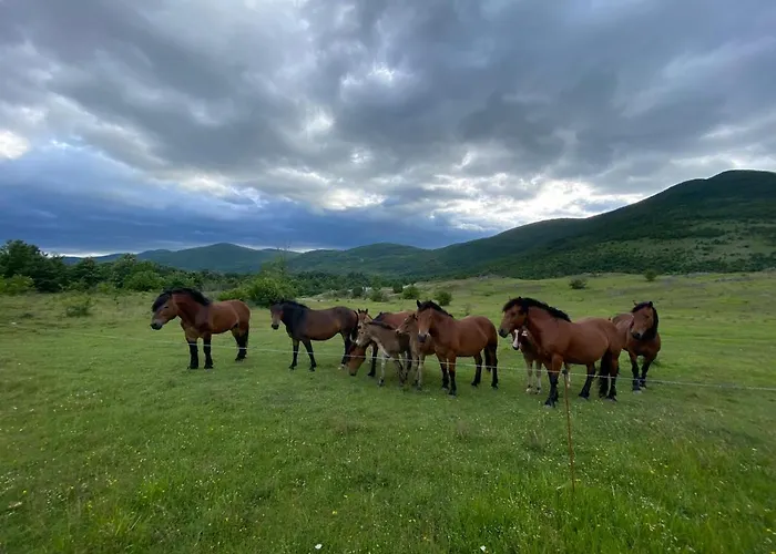Mona Nyaraló Gračac