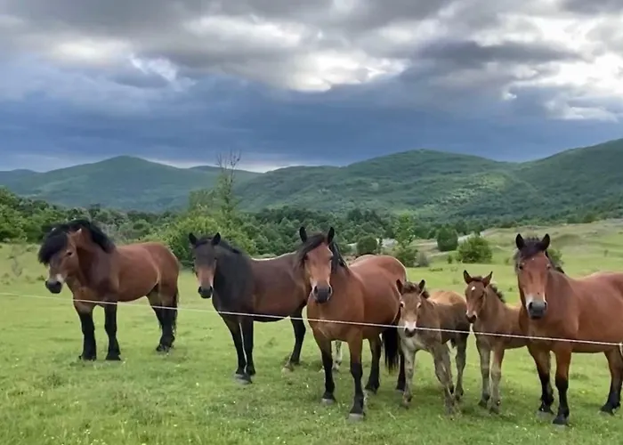 Σπίτι διακοπών Mona